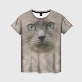 Женская футболка 3D с принтом Кошка , 100% полиэфир ( синтетическое хлопкоподобное полотно) | прямой крой, круглый вырез горловины, длина до линии бедер | глаза | животные | кот | котенок | кошка | мордочка | нос | усы