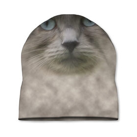 Шапка 3D с принтом Кошка , 100% полиэстер | универсальный размер, печать по всей поверхности изделия | глаза | животные | кот | котенок | кошка | мордочка | нос | усы