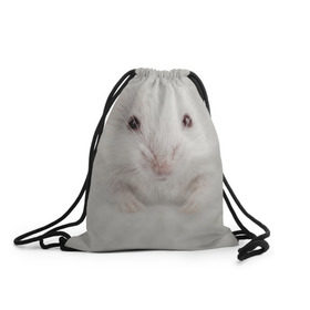 Рюкзак-мешок 3D с принтом Крыса , 100% полиэстер | плотность ткани — 200 г/м2, размер — 35 х 45 см; лямки — толстые шнурки, застежка на шнуровке, без карманов и подкладки | животные | крыса | мордочка | мышка | мышь | природа