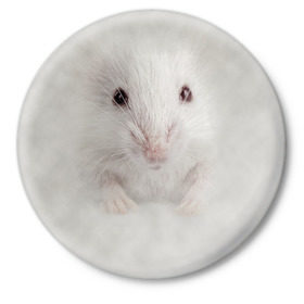 Значок с принтом Крыса ,  металл | круглая форма, металлическая застежка в виде булавки | животные | крыса | мордочка | мышка | мышь | природа