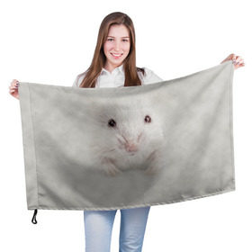 Флаг 3D с принтом Крыса , 100% полиэстер | плотность ткани — 95 г/м2, размер — 67 х 109 см. Принт наносится с одной стороны | Тематика изображения на принте: животные | крыса | мордочка | мышка | мышь | природа