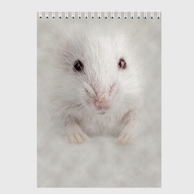 Скетчбук с принтом Крыса , 100% бумага
 | 48 листов, плотность листов — 100 г/м2, плотность картонной обложки — 250 г/м2. Листы скреплены сверху удобной пружинной спиралью | животные | крыса | мордочка | мышка | мышь | природа