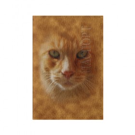 Обложка для паспорта матовая кожа с принтом Рыжий котик , натуральная матовая кожа | размер 19,3 х 13,7 см; прозрачные пластиковые крепления | Тематика изображения на принте: животные | кот | котенок | котик | кошка | мордочка | рыжий