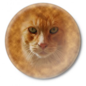 Значок с принтом Рыжий котик ,  металл | круглая форма, металлическая застежка в виде булавки | Тематика изображения на принте: животные | кот | котенок | котик | кошка | мордочка | рыжий
