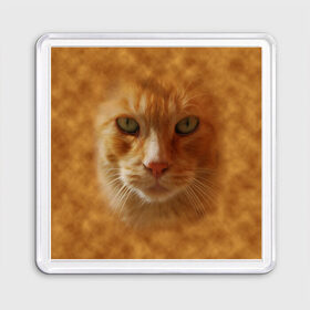 Магнит 55*55 с принтом Рыжий котик , Пластик | Размер: 65*65 мм; Размер печати: 55*55 мм | Тематика изображения на принте: животные | кот | котенок | котик | кошка | мордочка | рыжий