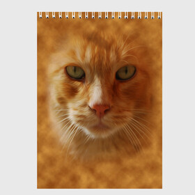 Скетчбук с принтом Рыжий котик , 100% бумага
 | 48 листов, плотность листов — 100 г/м2, плотность картонной обложки — 250 г/м2. Листы скреплены сверху удобной пружинной спиралью | Тематика изображения на принте: животные | кот | котенок | котик | кошка | мордочка | рыжий