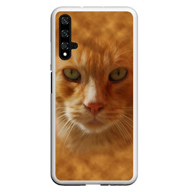 Чехол для Honor 20 с принтом Рыжий котик , Силикон | Область печати: задняя сторона чехла, без боковых панелей | животные | кот | котенок | котик | кошка | мордочка | рыжий