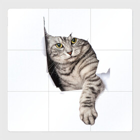 Магнитный плакат 3Х3 с принтом Кот прорвался , Полимерный материал с магнитным слоем | 9 деталей размером 9*9 см | животные | коты | лапа | прорвался