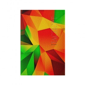 Обложка для паспорта матовая кожа с принтом Mirror abstract , натуральная матовая кожа | размер 19,3 х 13,7 см; прозрачные пластиковые крепления | abstraction | абстракция | геометрия | грани | полигоны | сочетания | текстура    | треугольники