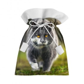 Подарочный 3D мешок с принтом Котэ , 100% полиэстер | Размер: 29*39 см | глаза | киска | кот | котёнок | кошка | усы