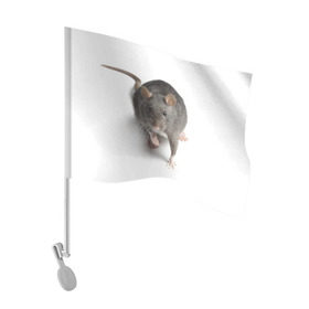 Флаг для автомобиля с принтом Крыса , 100% полиэстер | Размер: 30*21 см | животные | крыса | мышка | мышь