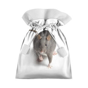 Подарочный 3D мешок с принтом Крыса , 100% полиэстер | Размер: 29*39 см | животные | крыса | мышка | мышь