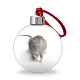 Ёлочный шар с принтом Крыса , Пластик | Диаметр: 77 мм | животные | крыса | мышка | мышь