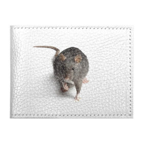 Обложка для студенческого билета с принтом Крыса , натуральная кожа | Размер: 11*8 см; Печать на всей внешней стороне | животные | крыса | мышка | мышь