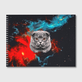 Альбом для рисования с принтом Космический кот , 100% бумага
 | матовая бумага, плотность 200 мг. | Тематика изображения на принте: 3d | cat | арт | взгляд | кот | кот хипстер | котёнок | котятки | котятушки | кошечки | кошка | мордочка