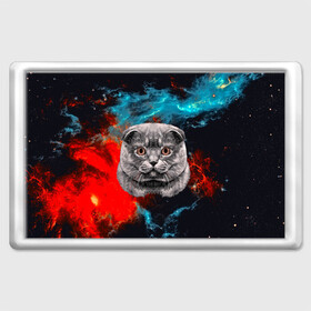 Магнит 45*70 с принтом Космический кот , Пластик | Размер: 78*52 мм; Размер печати: 70*45 | 3d | cat | арт | взгляд | кот | кот хипстер | котёнок | котятки | котятушки | кошечки | кошка | мордочка