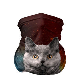 Бандана-труба 3D с принтом Кот в космосе! , 100% полиэстер, ткань с особыми свойствами — Activecool | плотность 150‒180 г/м2; хорошо тянется, но сохраняет форму | 3d | cat | арт | взгляд | вселенная | звезды | земля | космос | кот | кот хипстер | котёнок | котятки | котятушки | кошечки | кошка | мордочка | плеяды | пространство | созвездие