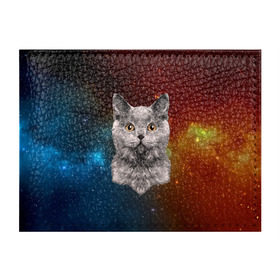 Обложка для студенческого билета с принтом Кот в космосе! , натуральная кожа | Размер: 11*8 см; Печать на всей внешней стороне | Тематика изображения на принте: 3d | cat | арт | взгляд | вселенная | звезды | земля | космос | кот | кот хипстер | котёнок | котятки | котятушки | кошечки | кошка | мордочка | плеяды | пространство | созвездие