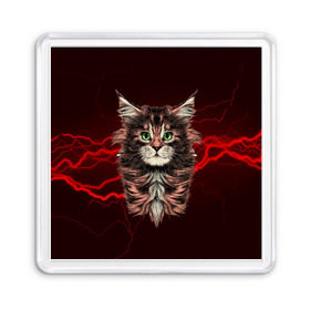 Магнит 55*55 с принтом Electro cat , Пластик | Размер: 65*65 мм; Размер печати: 55*55 мм | Тематика изображения на принте: cat | взгляд | кот | кот хипстер | котёнок | котятки | кошка | молния | мордочка | разряд | электричество