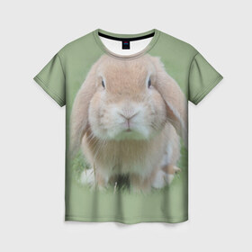 Женская футболка 3D с принтом Кролик , 100% полиэфир ( синтетическое хлопкоподобное полотно) | прямой крой, круглый вырез горловины, длина до линии бедер | грызун | животные | заяц | кролик | мордочка | природа | пушистый | уши
