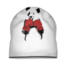 Шапка 3D с принтом Панда боксер , 100% полиэстер | универсальный размер, печать по всей поверхности изделия | Тематика изображения на принте: бамбук | бамбуковый медведь | бокс | боксерские | брызги | енот | животное | коала | красивый | красная книга | кунгфу | медведь | милый | мишка | очки | панда | перчатки | пот | прикол | прикольный