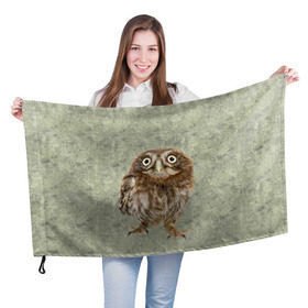 Флаг 3D с принтом Удивленная сова , 100% полиэстер | плотность ткани — 95 г/м2, размер — 67 х 109 см. Принт наносится с одной стороны | орнамент | сова