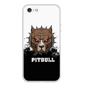 Чехол для iPhone 5/5S матовый с принтом Pitbull , Силикон | Область печати: задняя сторона чехла, без боковых панелей | 3d | dog | pitbull | абстракция | животные | краска | собака | черно белый