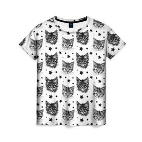 Женская футболка 3D с принтом Котики , 100% полиэфир ( синтетическое хлопкоподобное полотно) | прямой крой, круглый вырез горловины, длина до линии бедер | звезды | кот | котенок | котик | котики | котята | кошка | орнамент | узор