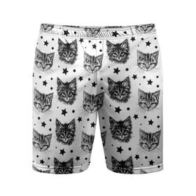 Мужские шорты 3D спортивные с принтом Котики ,  |  | звезды | кот | котенок | котик | котики | котята | кошка | орнамент | узор