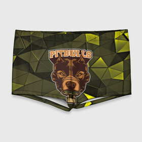 Мужские купальные плавки 3D с принтом Pitbulls , Полиэстер 85%, Спандекс 15% |  | Тематика изображения на принте: dog | pitbulls | абстракция | геометрия | животные | собака | треугольники | цепь