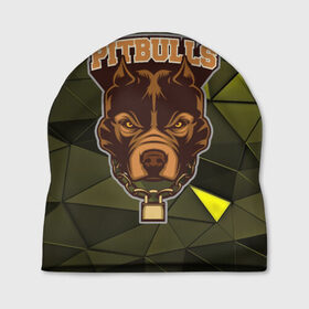 Шапка 3D с принтом Pitbulls , 100% полиэстер | универсальный размер, печать по всей поверхности изделия | Тематика изображения на принте: dog | pitbulls | абстракция | геометрия | животные | собака | треугольники | цепь