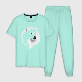 Мужская пижама хлопок с принтом Самоед , 100% хлопок | брюки и футболка прямого кроя, без карманов, на брюках мягкая резинка на поясе и по низу штанин
 | ездовая собака | ес | лайка | самоедская собака