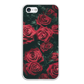 Чехол для iPhone 5/5S матовый с принтом Бархатные розы , Силикон | Область печати: задняя сторона чехла, без боковых панелей | бархат | бутоны | роза | розы | цветы