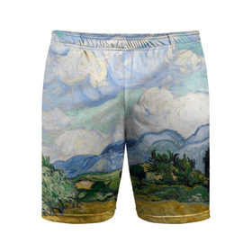 Мужские шорты 3D спортивные с принтом Ван Гог Картина ,  |  | картина | лето | масло | мировой шедевр | пейзаж