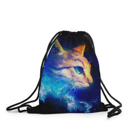 Рюкзак-мешок 3D с принтом Звездный кот , 100% полиэстер | плотность ткани — 200 г/м2, размер — 35 х 45 см; лямки — толстые шнурки, застежка на шнуровке, без карманов и подкладки | звезды | кот | мордочка | темный
