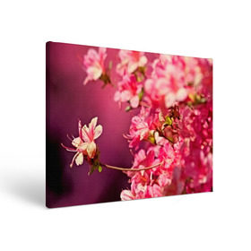 Холст прямоугольный с принтом Сакура , 100% ПВХ |  | Тематика изображения на принте: 3d | flower | nature | pink | sakura | весна | деревья | природа | розовый | сакура | цветы | япония