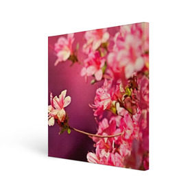 Холст квадратный с принтом Сакура , 100% ПВХ |  | 3d | flower | nature | pink | sakura | весна | деревья | природа | розовый | сакура | цветы | япония