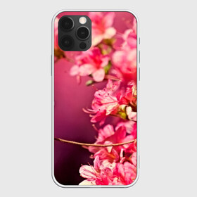 Чехол для iPhone 12 Pro с принтом Сакура , силикон | область печати: задняя сторона чехла, без боковых панелей | Тематика изображения на принте: 3d | flower | nature | pink | sakura | весна | деревья | природа | розовый | сакура | цветы | япония