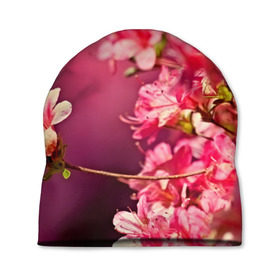 Шапка 3D с принтом Сакура , 100% полиэстер | универсальный размер, печать по всей поверхности изделия | Тематика изображения на принте: 3d | flower | nature | pink | sakura | весна | деревья | природа | розовый | сакура | цветы | япония