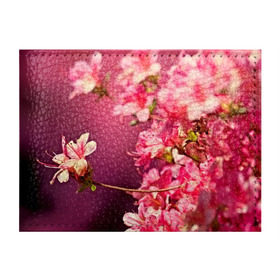 Обложка для студенческого билета с принтом Сакура , натуральная кожа | Размер: 11*8 см; Печать на всей внешней стороне | Тематика изображения на принте: 3d | flower | nature | pink | sakura | весна | деревья | природа | розовый | сакура | цветы | япония