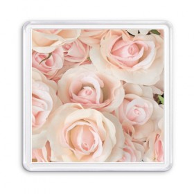 Магнит 55*55 с принтом Pink roses , Пластик | Размер: 65*65 мм; Размер печати: 55*55 мм | Тематика изображения на принте: розовый | розы