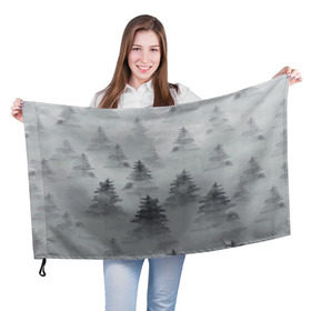Флаг 3D с принтом Туманный лес , 100% полиэстер | плотность ткани — 95 г/м2, размер — 67 х 109 см. Принт наносится с одной стороны | бор | вечер | деревья | елка | еловый | ель | загадочный | земля | зима | лес | мрачный | необычный | природа | серый | сибирь | снег | тайга | туман | хвойный