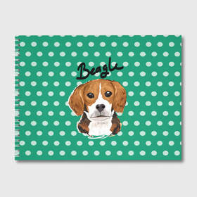Альбом для рисования с принтом Бигль , 100% бумага
 | матовая бумага, плотность 200 мг. | beagle | арт | гончая | горошек | животное | кружочек | пес | собака | текстура