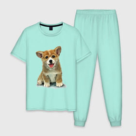 Мужская пижама хлопок с принтом Коржик , 100% хлопок | брюки и футболка прямого кроя, без карманов, на брюках мягкая резинка на поясе и по низу штанин
 | Тематика изображения на принте: corgi | dog | korgi | вельш корги | дог | кардиган | корги | пемброк | собака | щенок