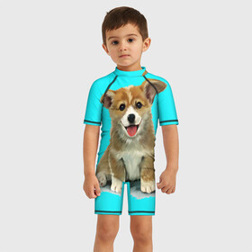 Детский купальный костюм 3D с принтом Корги , Полиэстер 85%, Спандекс 15% | застежка на молнии на спине | corgy | dog | korgi | puppy | вельш корги | кардиган | коржик | пемброк | собака | щенок