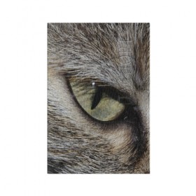 Обложка для паспорта матовая кожа с принтом Кошачий глаз , натуральная матовая кожа | размер 19,3 х 13,7 см; прозрачные пластиковые крепления | Тематика изображения на принте: 