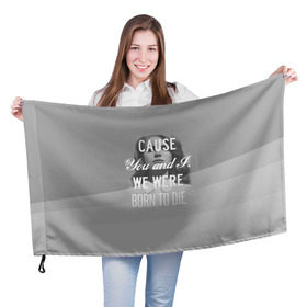 Флаг 3D с принтом Lana Del Rey , 100% полиэстер | плотность ткани — 95 г/м2, размер — 67 х 109 см. Принт наносится с одной стороны | lana del rey | лана дель рей