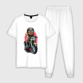 Мужская пижама хлопок с принтом Кот мотоциклист , 100% хлопок | брюки и футболка прямого кроя, без карманов, на брюках мягкая резинка на поясе и по низу штанин
 | Тематика изображения на принте: moto | киса | кот | котэ | мото | мотоцикл | очки | шлем