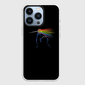 Чехол для iPhone 13 Pro с принтом Pink Floyd Cookie Monster ,  |  | монстр | печеньки | улица сезам
