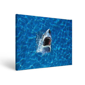 Холст прямоугольный с принтом Пасть акулы , 100% ПВХ |  | акула | атака | белая | брызги | вода | волны | зубы | капли | море | океан | опасность | синяя | челюсти | эффект